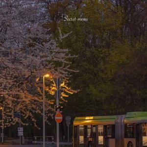 一本到中文无码AV在线精品
