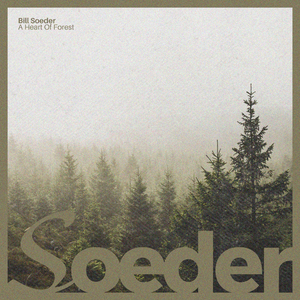 一本到中文无码AV在线精品
